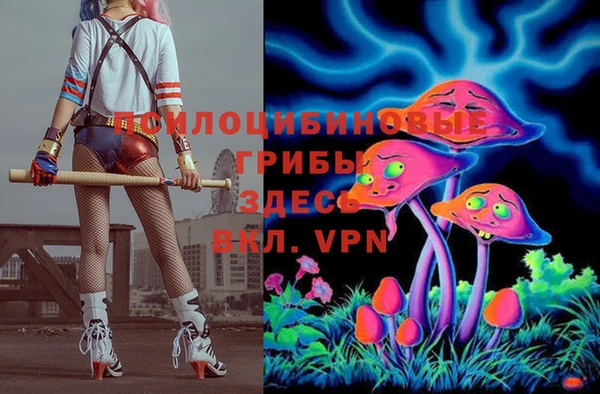 винт Касимов