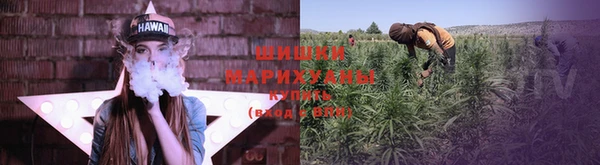 спайс Карпинск