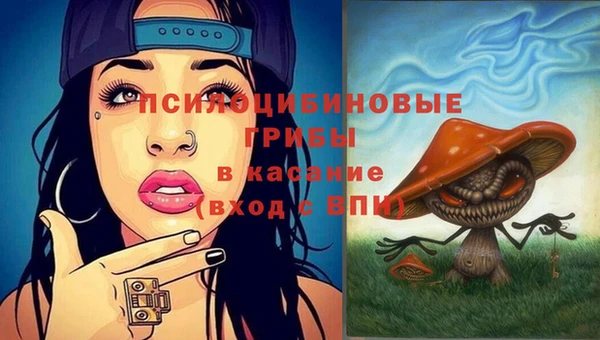 винт Касимов